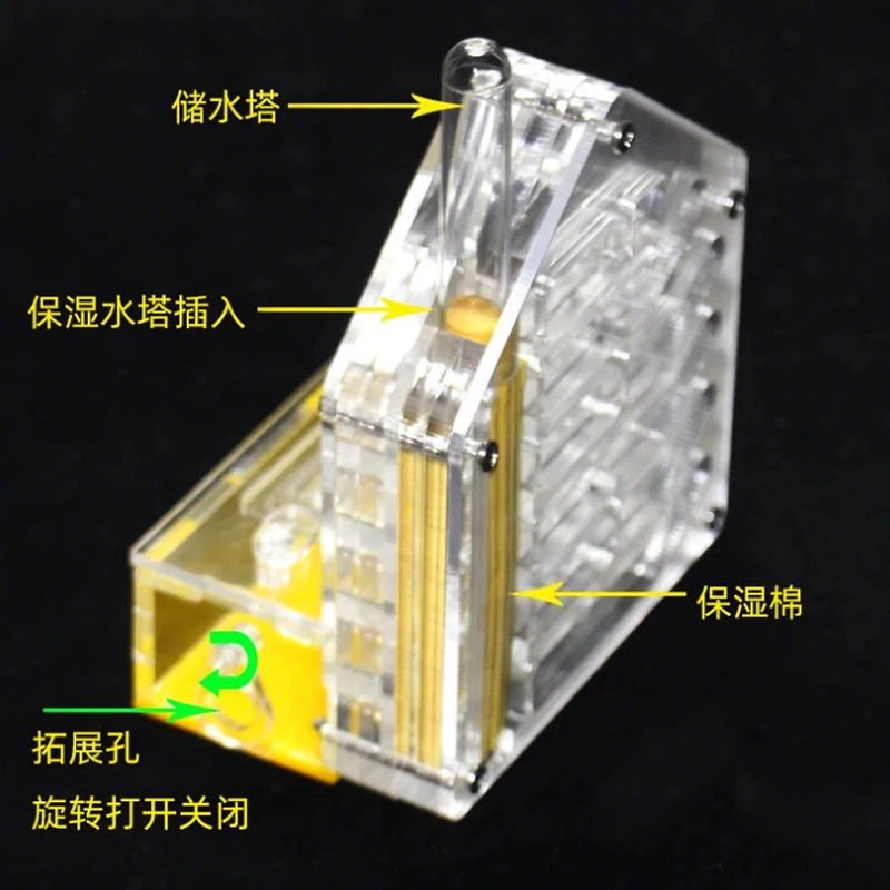 Compact Acrylic Ant Enclosure Ideal for Beginners and Small Ant Colonies