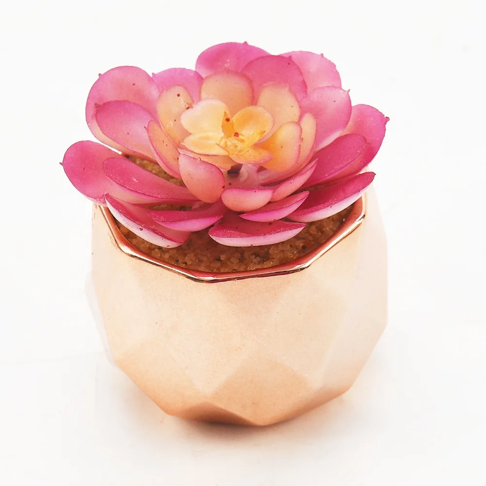 Artificial succulents for indoor tooth shaped succulent pot modern artificial plant decorated plastic flower succulents