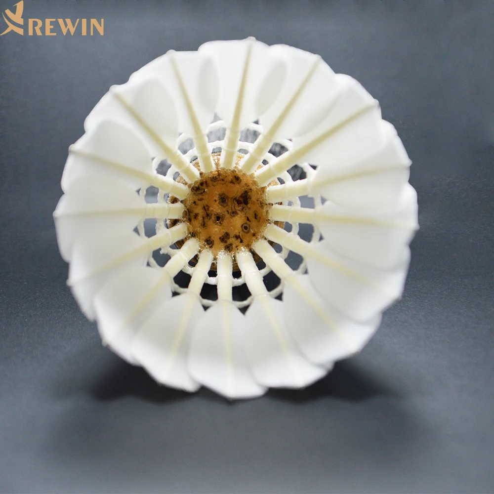 2022 Top Quality Goose Feather Badminton Shuttlecock MASTER NO.1 same as EG1130 quality for International Tournament