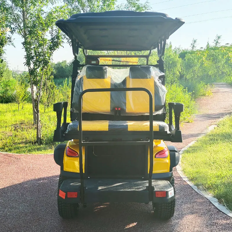 Multifunctional golf cart customized Off Road Street Legal 48V Lithium Battery 2 4 6 Seater Carrito De Golf Cart