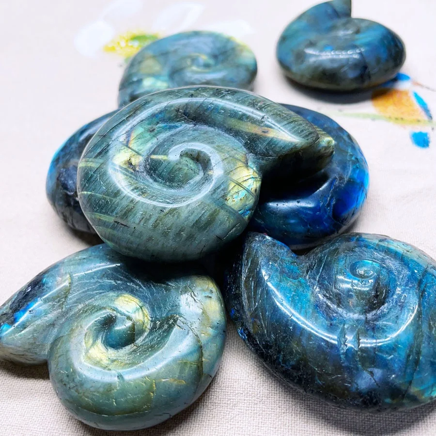 Hand Carved Labradorite Ammonite Conch Fossil for Collection Gifts Mineral Specimen