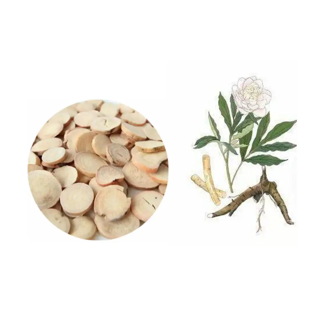 Bai shao chinese herbs natural dried white peony root white paeony root