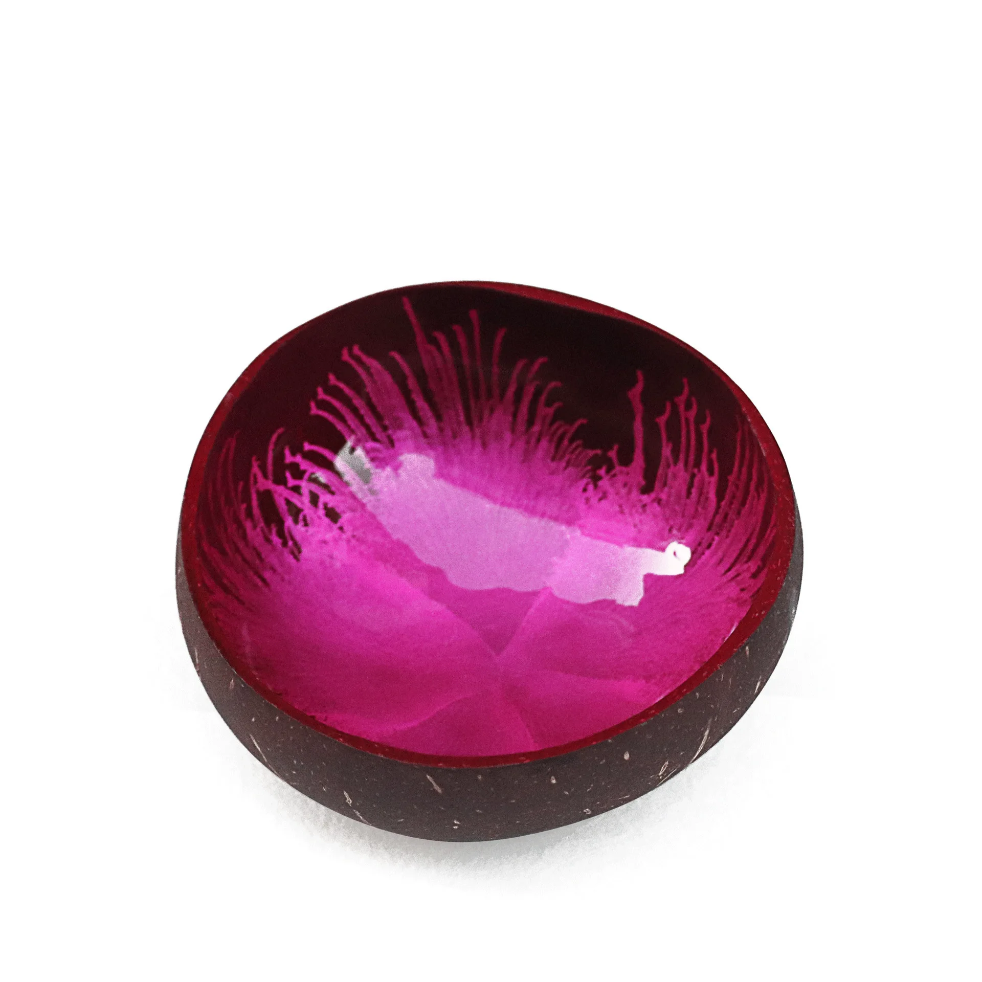 ,Storage Bowl,Candy Container,Nuts Holder Desktop Organizerfor Home Office Living Room(Mixed Colors)Lacquer Coconut Shell Bowl