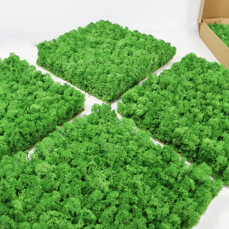 wholesale preserved flowers and plants natural real moss wall art green stabilized reindeer preserved moss wall for decor