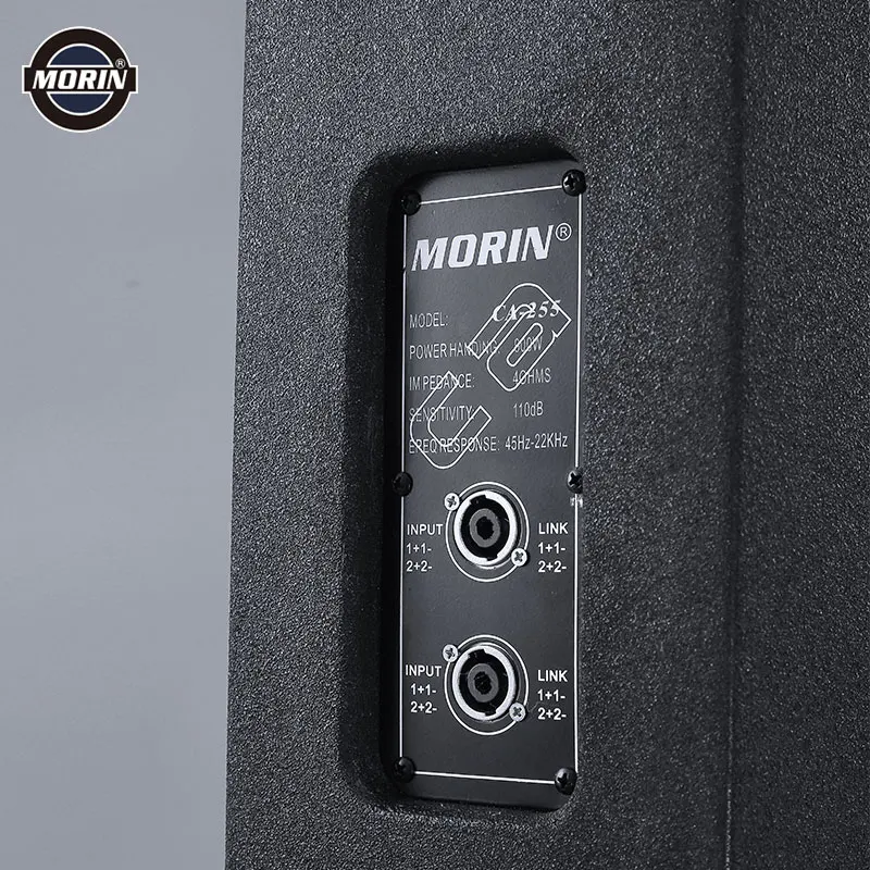 900 Watts Powerful Big Pro Audio PA Speaker System for Live Show Contert