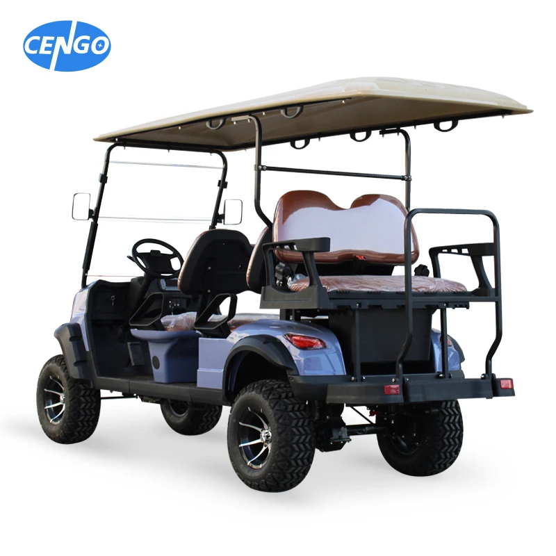 Good Quality Custom USA 2 4 6Seater Electric Powered Golf Cart Chinese Hydraulic 4 Wheel Disc