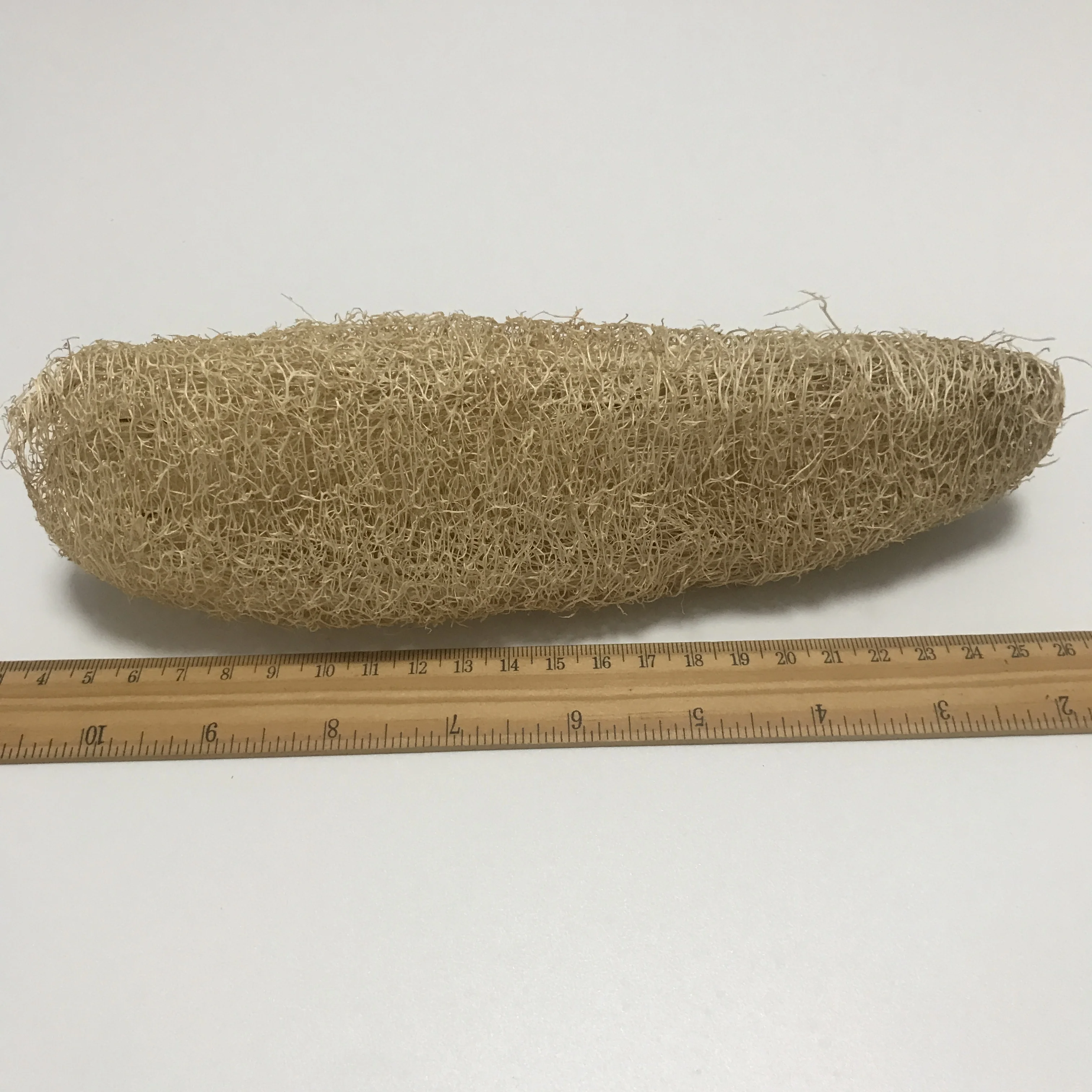 
CK005 Si gua luo Natural 20~25cm The whole loofah 