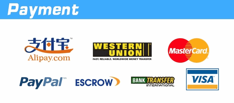 from shenzhen guangzhou to Croatia