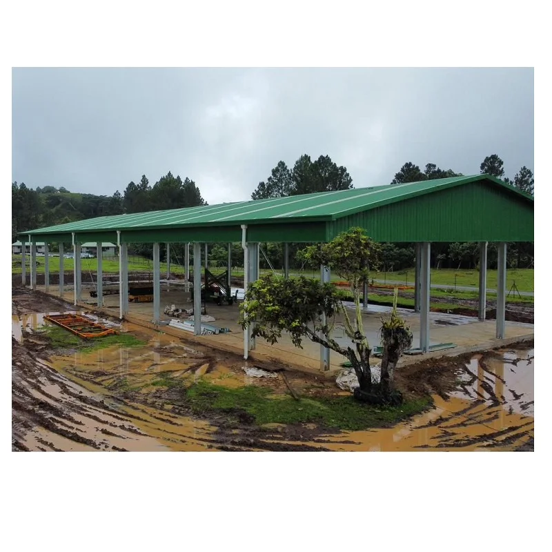 Customized Prefab Industrial Metal Building Australian Standard Frame Structure Steel Shed