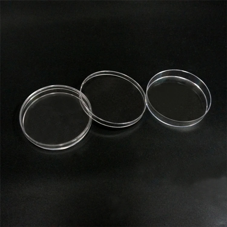 round petri dish
