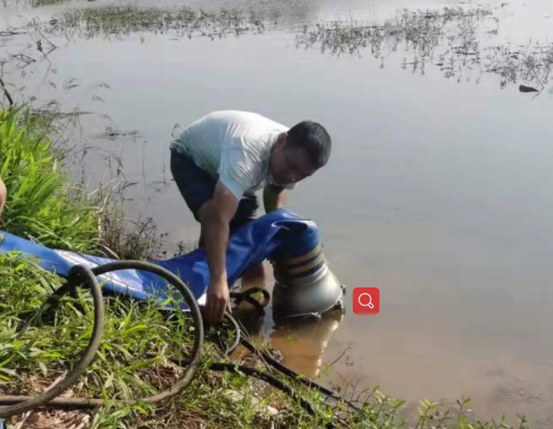 High Quality submersible hydraulic pump price hydraulic pump submersible pump hydroponics