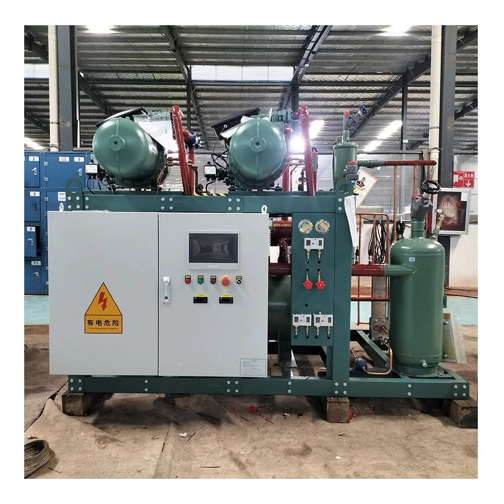 Screw compressor air cooled condensing unit for vegetable cold storage room