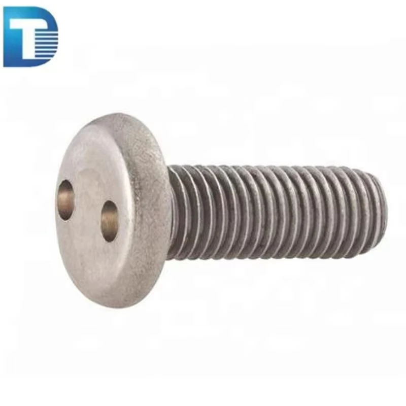 M3 M5 M6 Stainless Steel AISI304 316 ANSI304 316 Two Holes Snake Eyes Pig Nose Flat Round Head Security Bolt Anti Theft Bolt