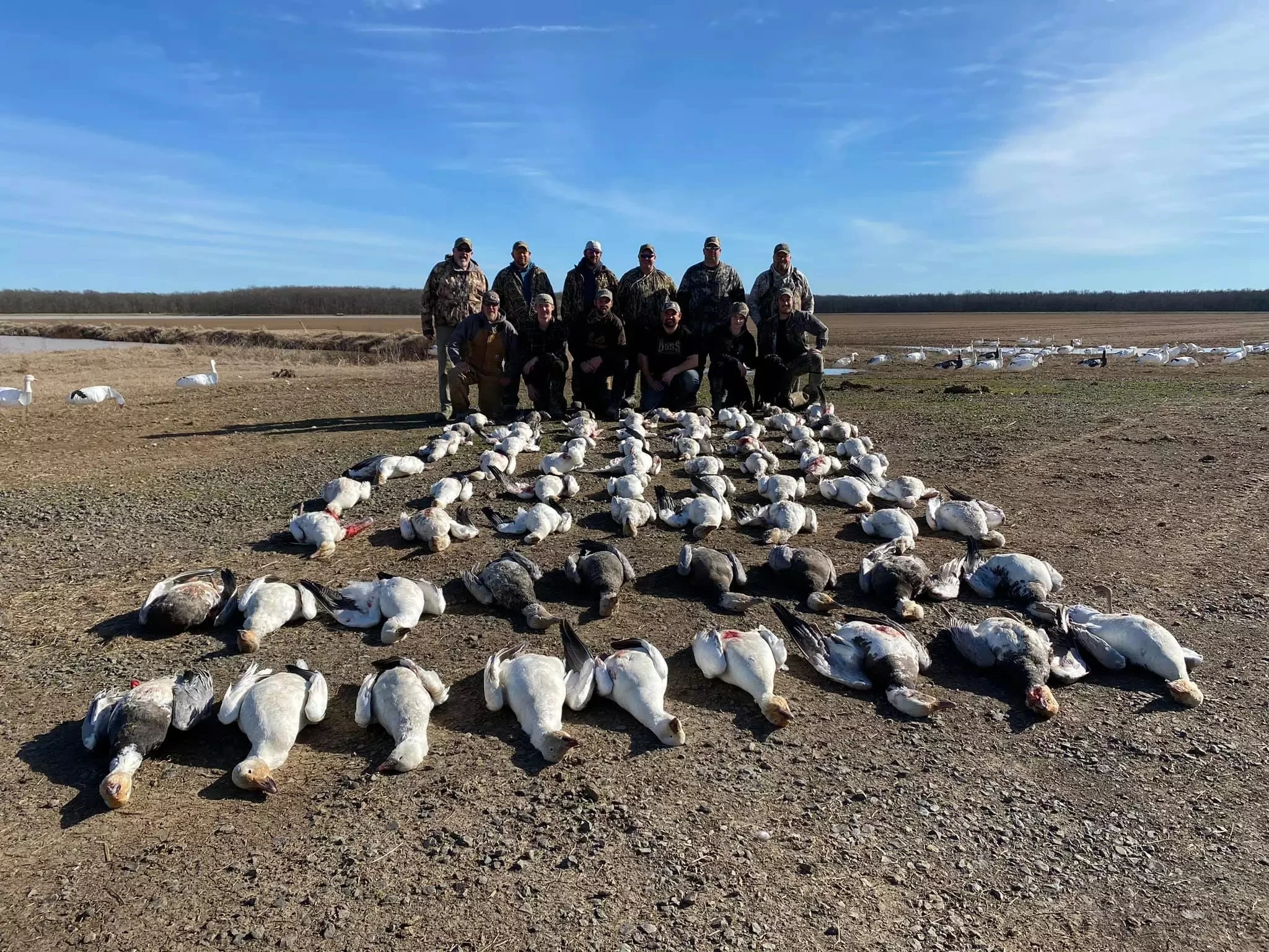 wholesale goose decoys, exw grey goose decoy head covers, snow goose decoy used goose decoys