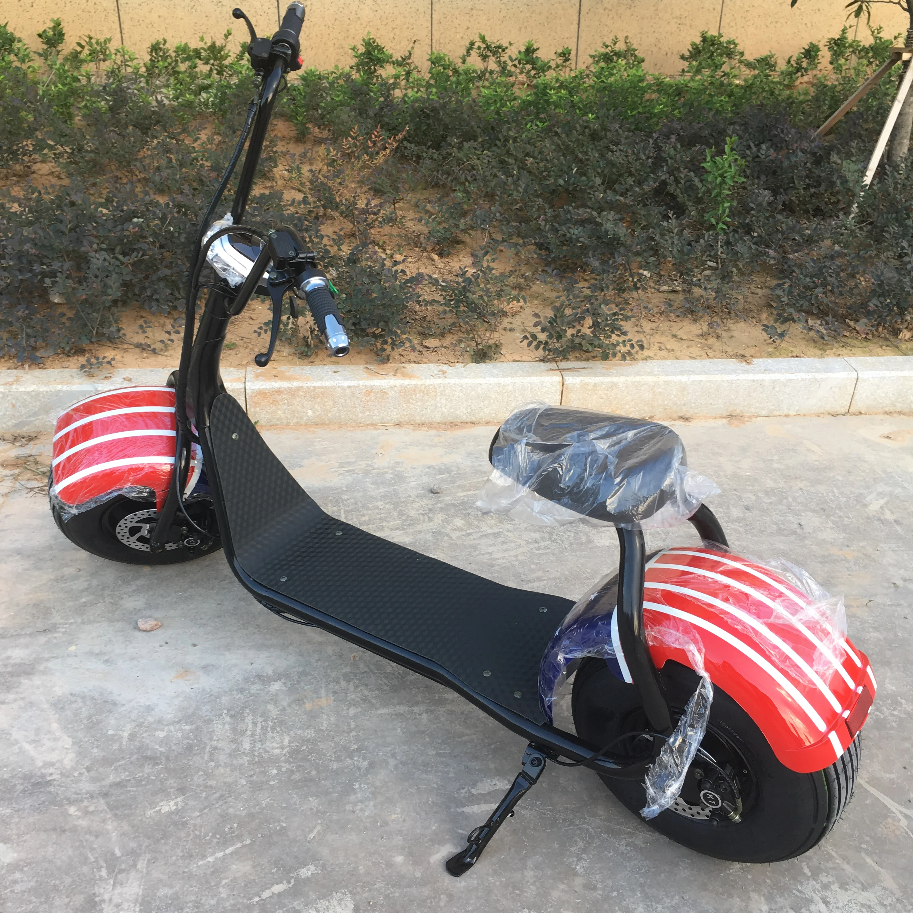 citycoco scooter_2.jpg