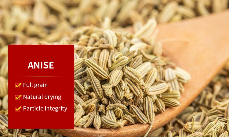 anise_01.jpg