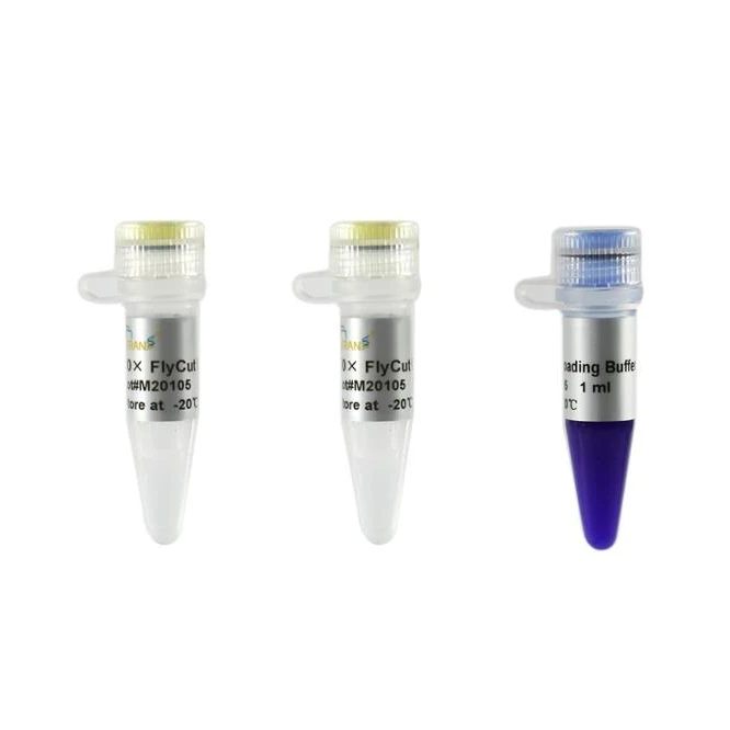 TransGen Biotech FlyCut SalI-Restriction Enzymes-Molecular Biology Reagents