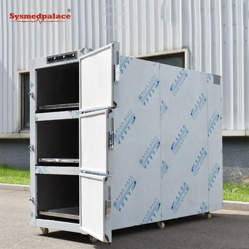 Freezerpalace STG3 Cold Room Mortuary Refrigerator morgue fridge for 3 dead body Corpses Mortuary Freezer Price