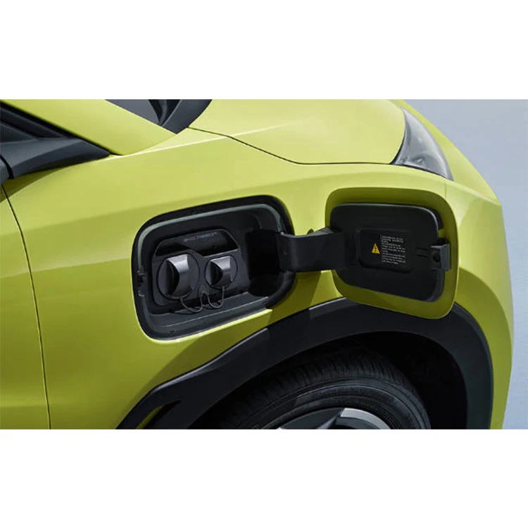 Byd Чайка 2024 горячая Распродажа Электромобили в наличии 305 км Летающая Версия сделано