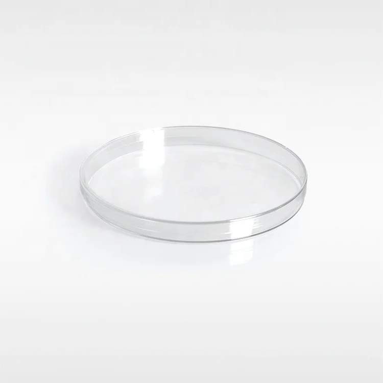 Good price Medical sterile disposable Polystyrene plastic 55 mm Bacteria culture petri dish for hospital school lab