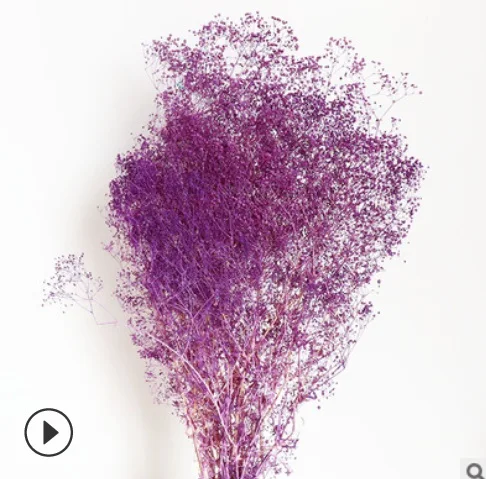 Консервированный белый миллион звезд сушеный цветок Babysbreath