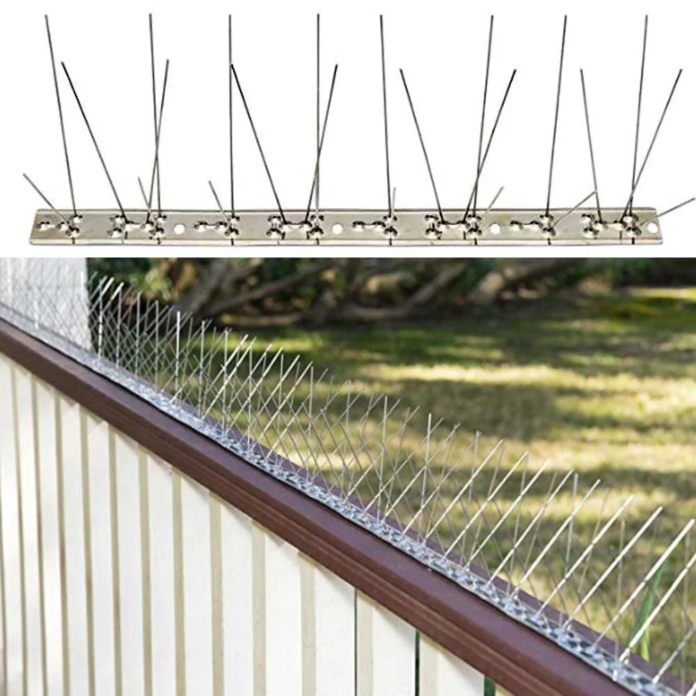 Bird Spikes for Pigeons Small Bird Anti Stainless Steel Bird Spikes