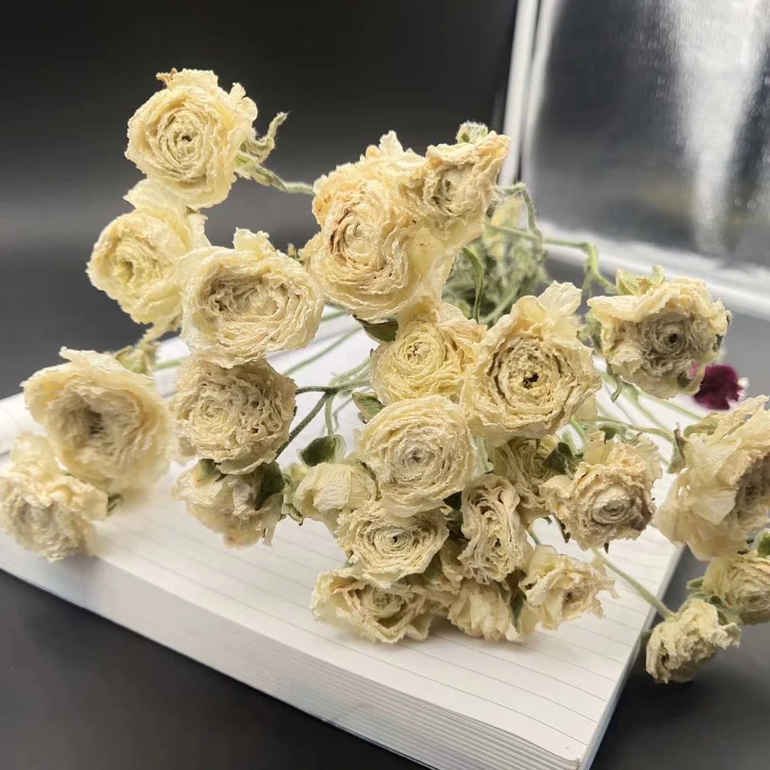 2020 new product dry peony flower from Kunming China