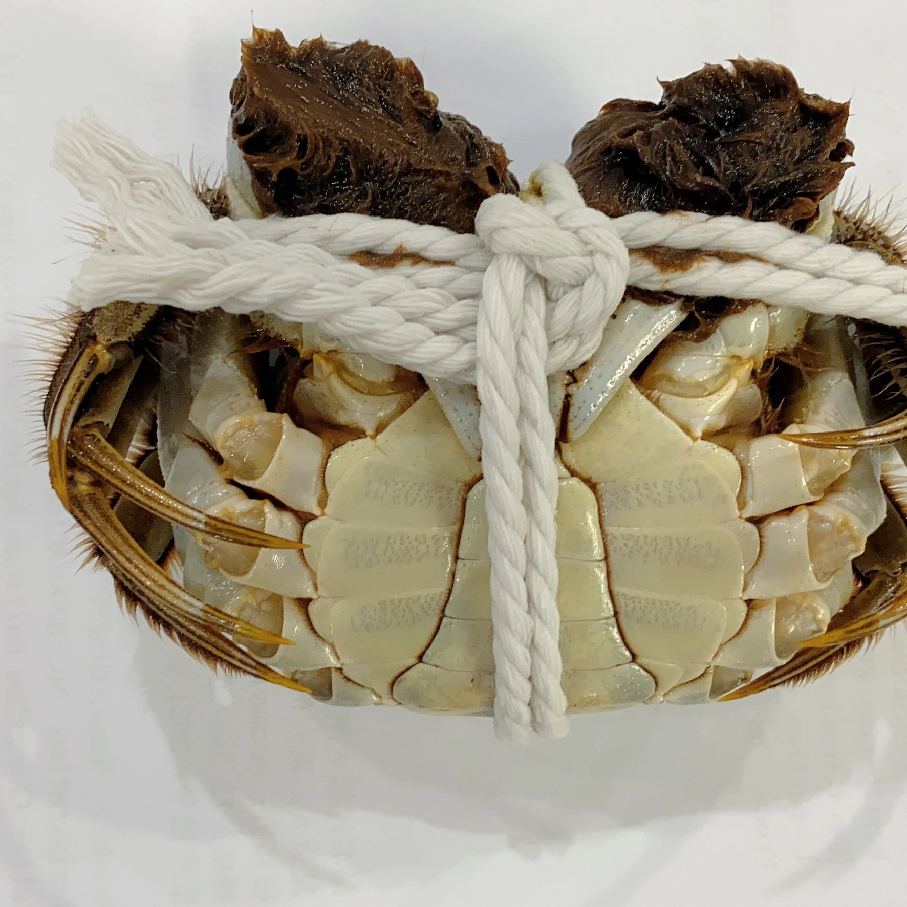 Legs King Style Crab Packaging Weight Shelf Muscle Origin Cutting Type Life Variety ISO Fresh Place Model HACCP Months HALAL