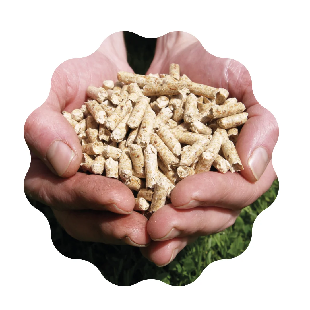 Excellent Quality High Energy Premium Quality Wood Pellets Wood Pellets Hot Selling Energy Saving From Vietnam Manufacturer