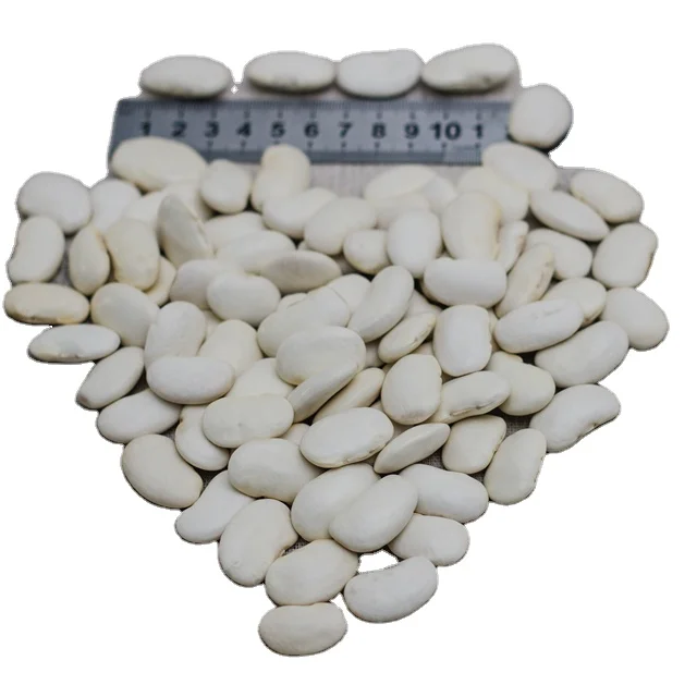 
Directly supply Yunnan White kidney bean long shape fat beans High quality White kidney beans 
