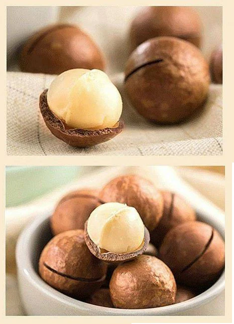 Hot Selling Large Daily Nuts Delicious Hand-peeled Macadamia Nuts