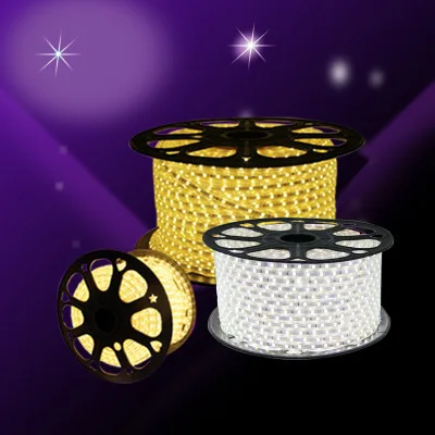 Strip Light Waterproof LED Tape AC 220V 110V SMD 2835 5050 Flexible LED Strip Light