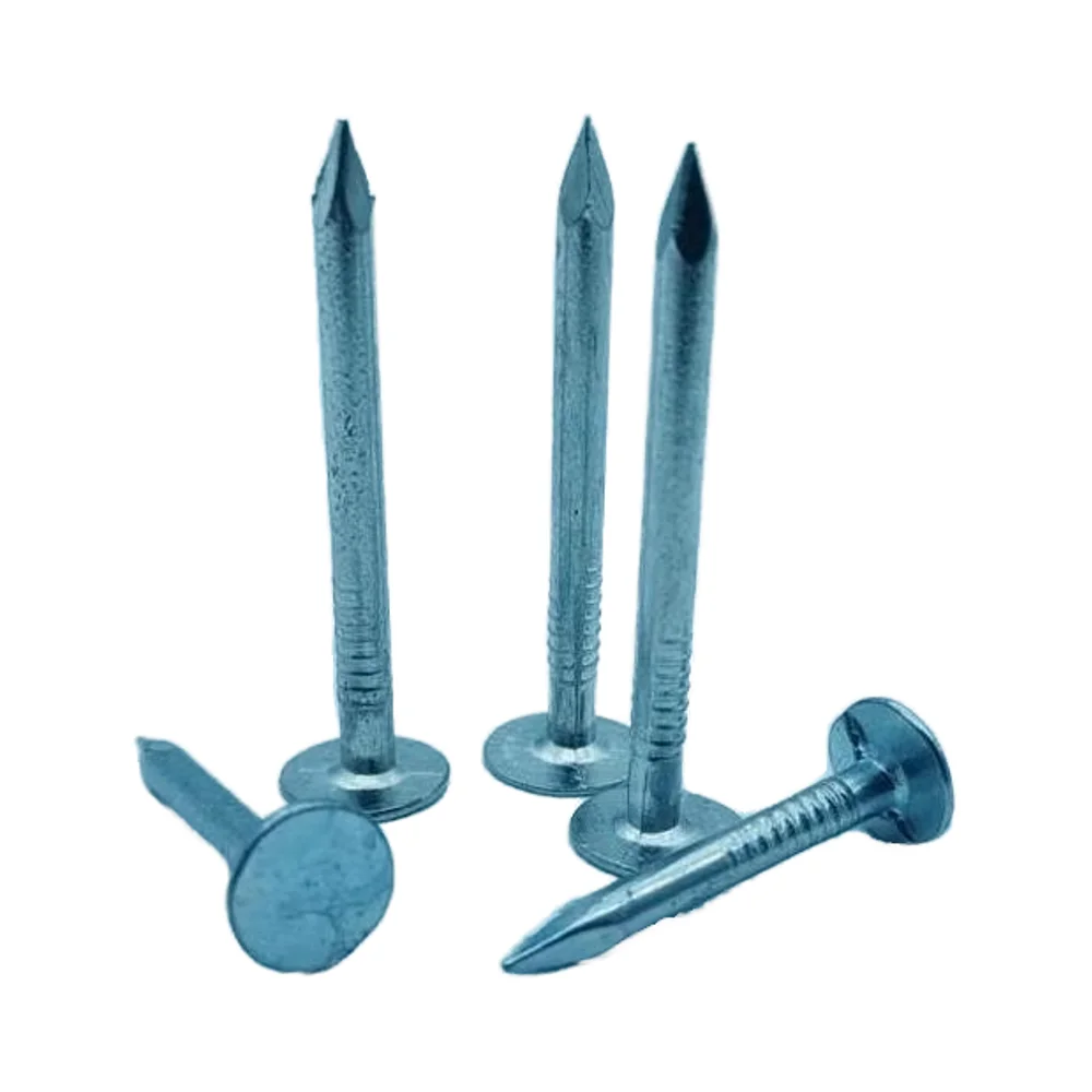 High Quality 1inch 2inch 3inch 4inch Silver Color Yellow Color Galvanized 10Mm Big Head Felt Nail Sale for South America