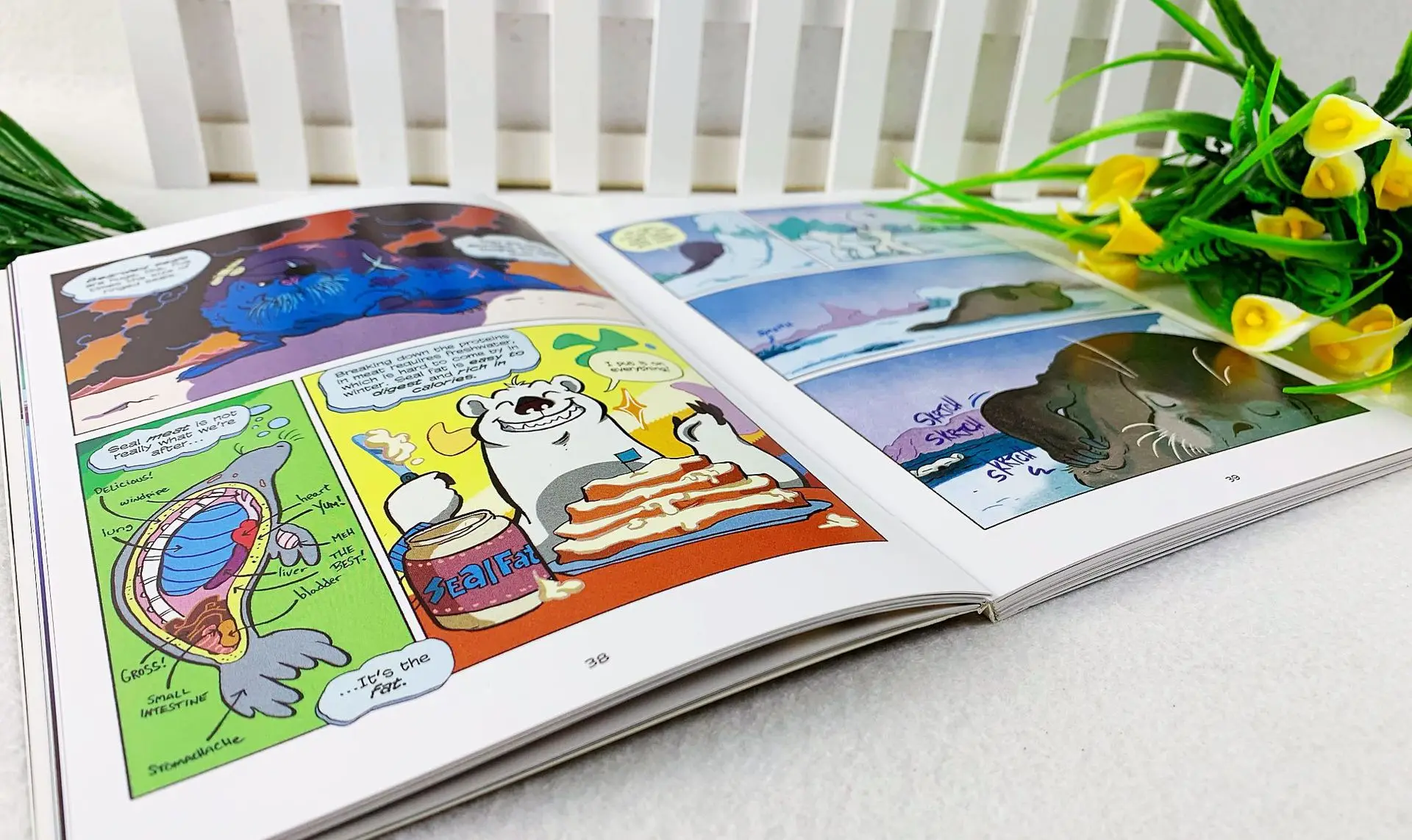 Wholesales 19 pcs/set Science Comics Popularization of Science Story Books for Kids