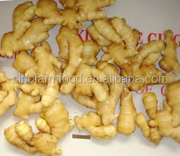 aromatic ginger from red ginger not fresh ginger from thailand
