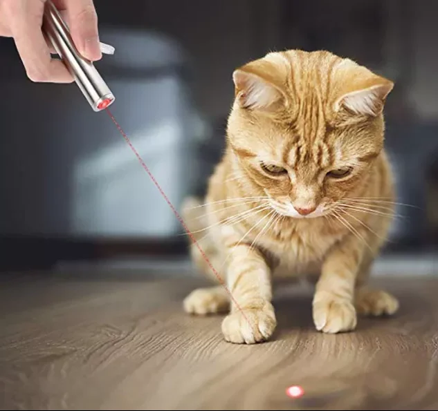 Wholesale 3 in 1 multi-function mini USB rechargeable penlight led pocket red laser Pointer UV flashlight for Pets Interactive
