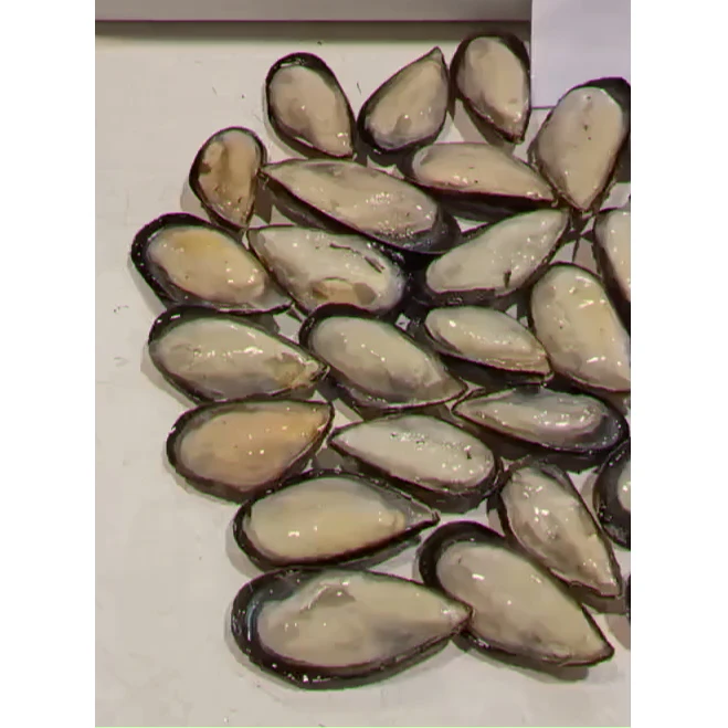 Hot Sale Seafood Frozen half shell mussel meat For Market