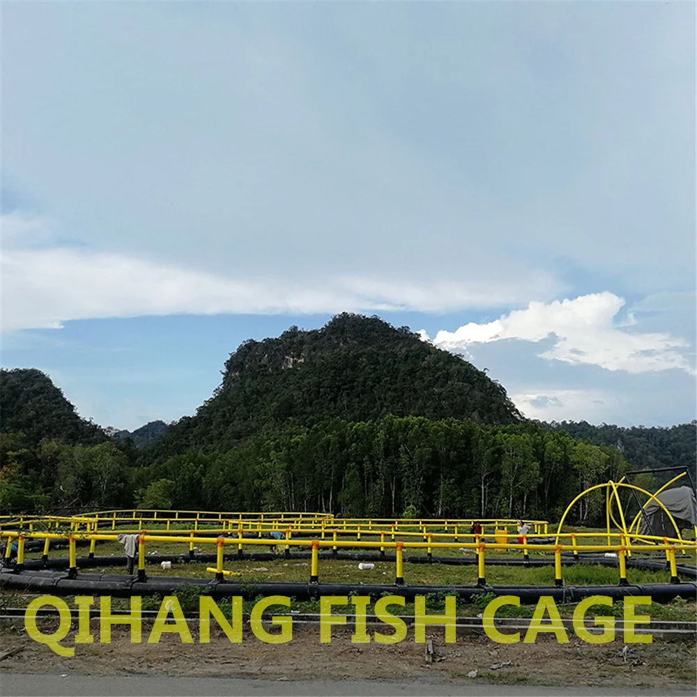 HDPE farm raised sea bass fish farming cage for pisciculture