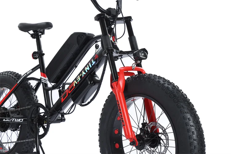 20 Inch  Electric Bicycle Fat Tire Power Assisted Bicycle Beach Lithium Electric Snowmobile