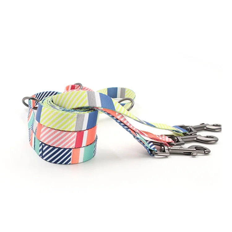 Puppy multi stripes step in sublimation designers dog harness and leash set