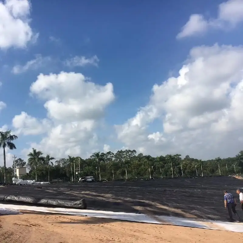 Hdpe Geomembrane for Mining Plastic Sheet Membrane for Mining Industry