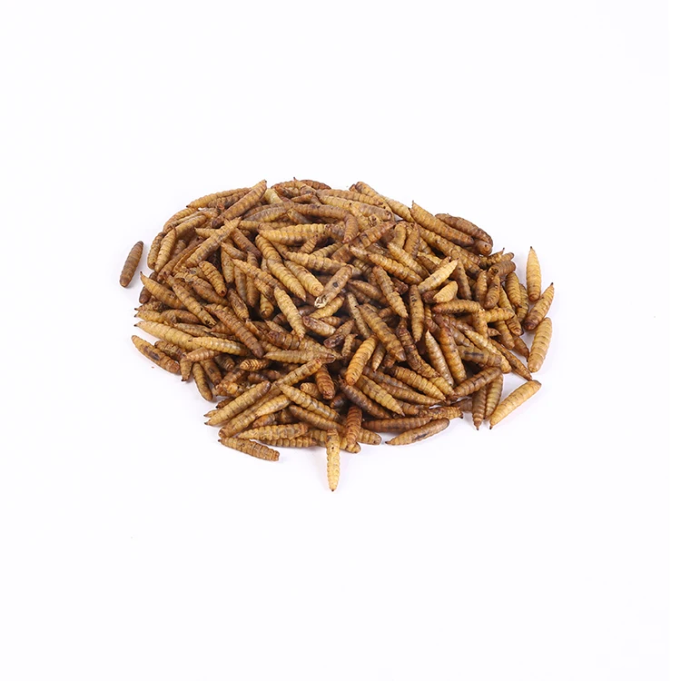 Crown Dried Black Soldier Fly Flies Larvae for Bird Pet Food High Protein BSF Powder