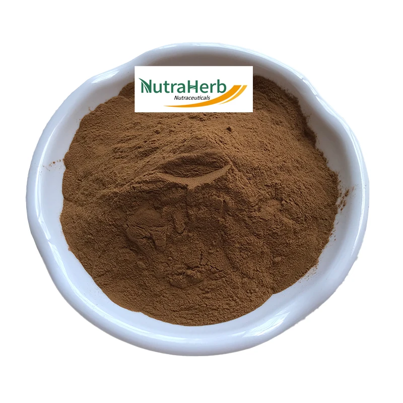 High Quality Tea Saponin Powder 100% Natural Tea Saponins 90% Tea Seed Saponine With Low Price