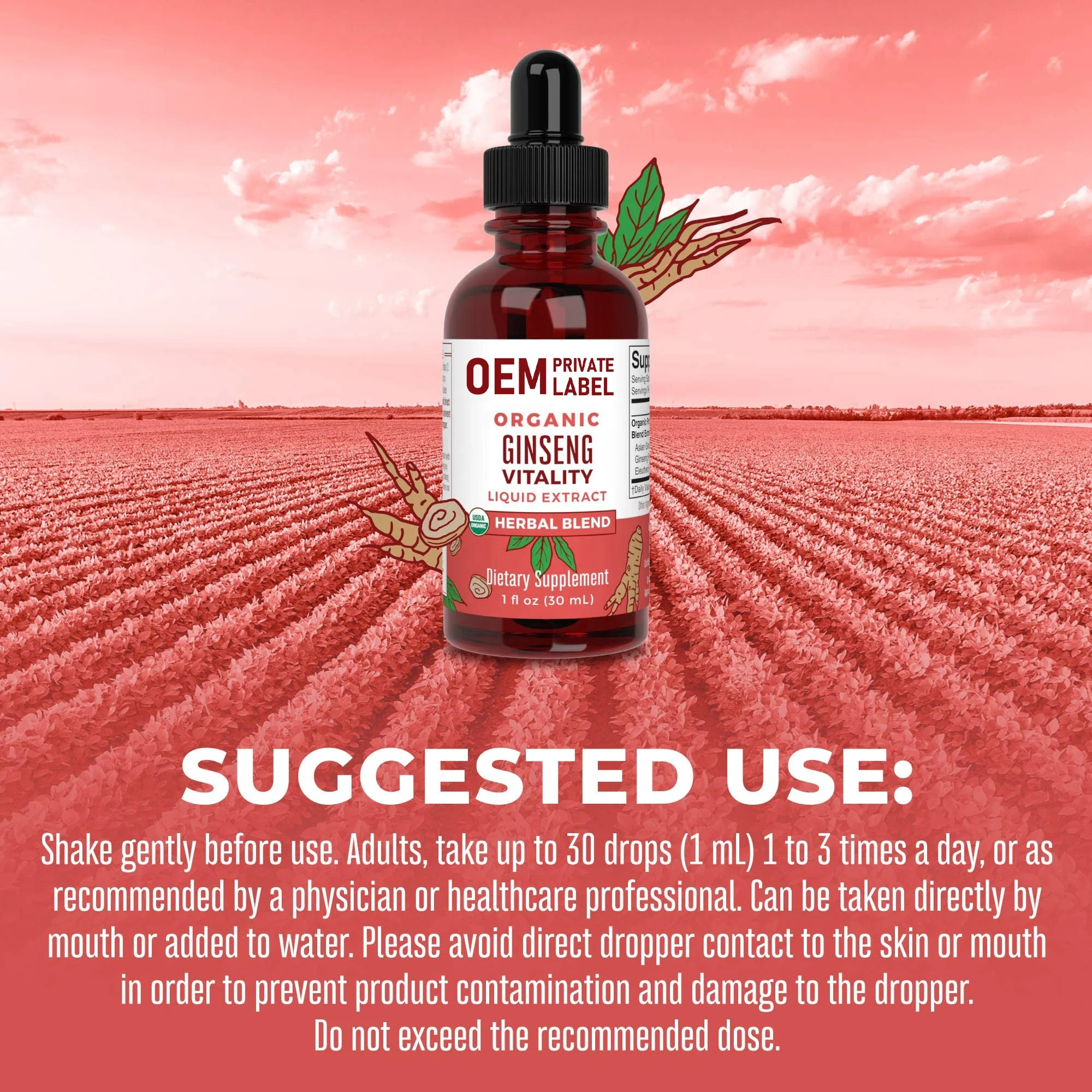 Herbal Supplement Liquid Drops for Brain Function Boost Energy Memory Ginseng with Ashwagandha Eleuthero and Maca Root Extract