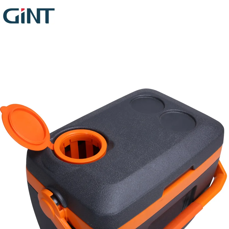 Factory PU Foaming Mini Fish Cooler Box Small Capacity 10L Cooler Box Fruit Container with Lid and Strap