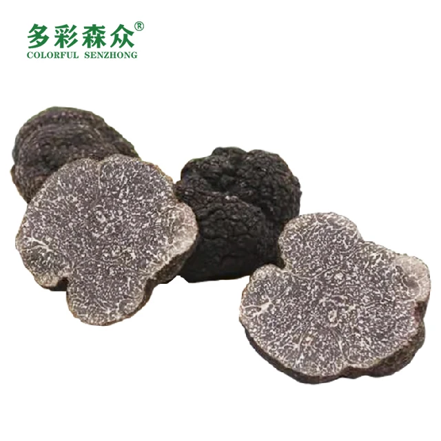 Song lu Health food grade mushroom black truffles Wholesale wild black truffle in Yunnan, China frozen truffle