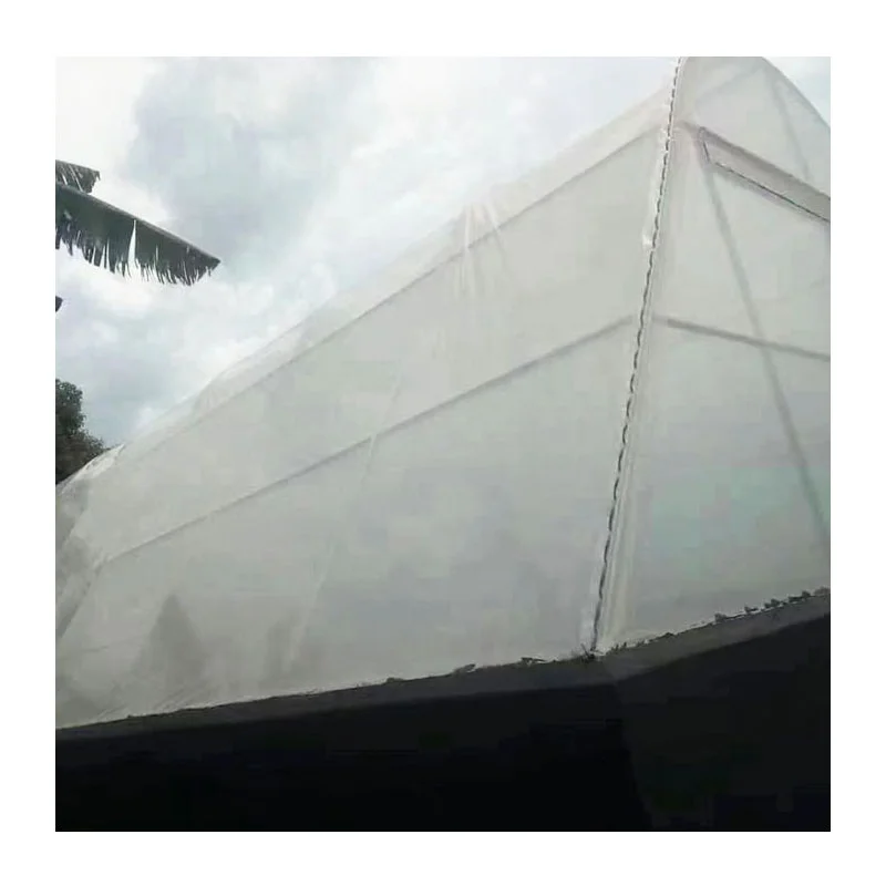 Plastic Sheet Diffuse Film Tunnel Plastic Greenhouse Equipment Agricultural Film Agriculture