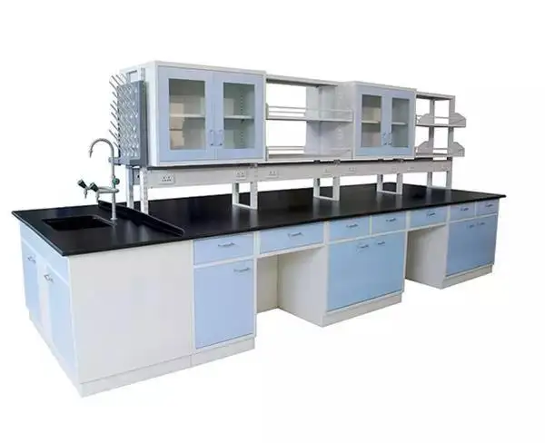 Manufacturer High Quality School Laboratory Equipment Lab Work Bench Table For Students Used