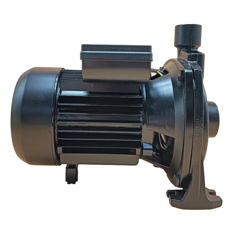 Customizable 2HP High-Pressure Centrifugal Pump for Agriculture and Irrigation OEM Big Flow Electric Pump