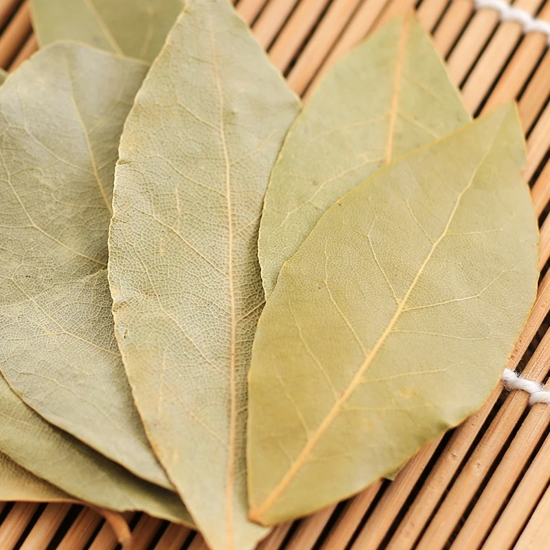 Wholesale Dried Laurel Leaves Single Herbs and Spices Dried Bay leaves